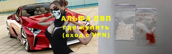 прущий лед Бородино