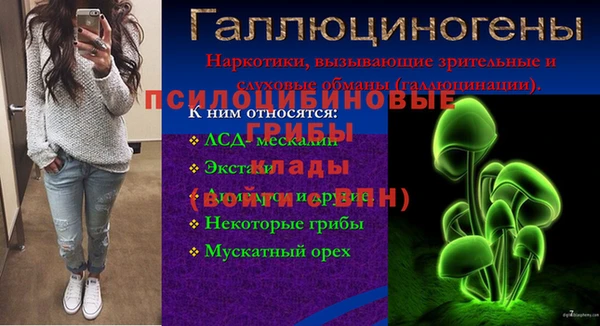 а пвп мука Бугульма