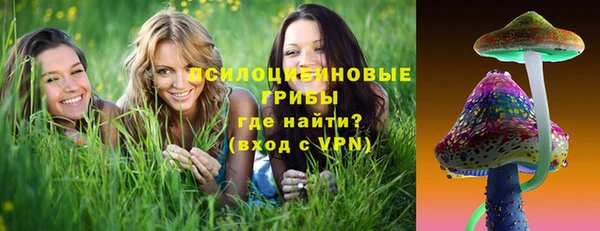 а пвп мука Бугульма