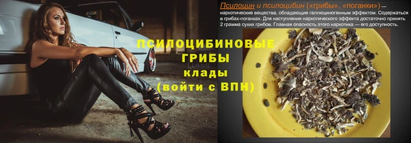 прущий лед Бородино