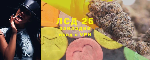 прущий лед Бородино